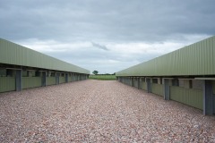 image07