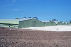 image10