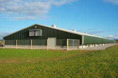 image16
