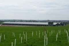 image21